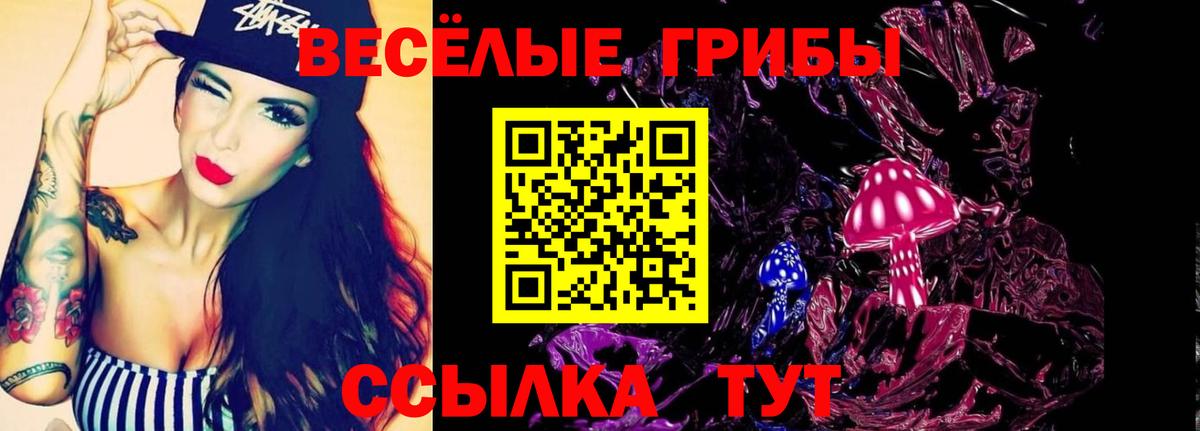 Дербент  Псилоцибиновые грибы GOLDEN TEACHER  Вход с VPN  Псилоцибиновые грибы MAGIC MUSHROOMS 